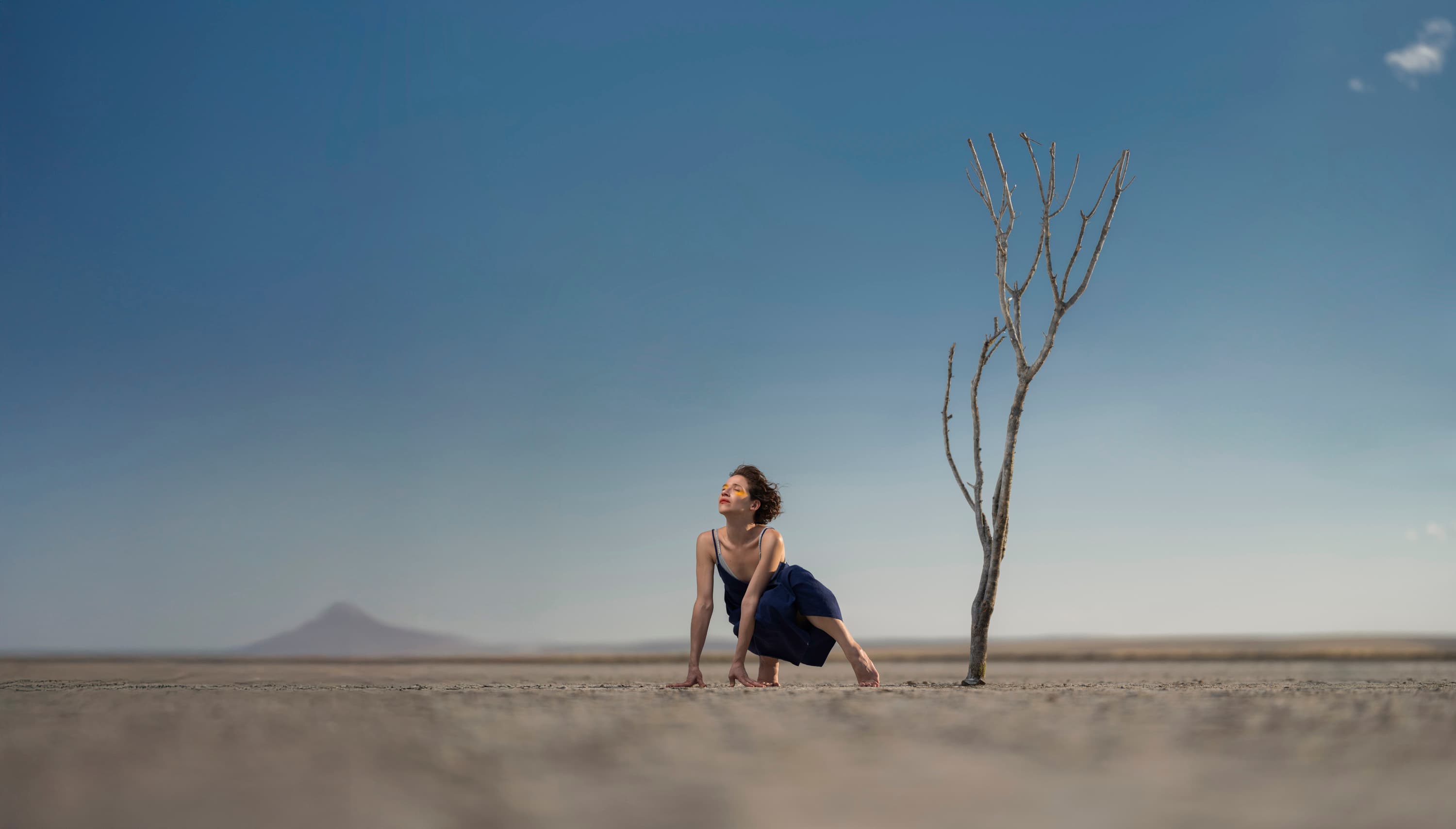 A crouching figure beside a bare tree in a vast, empty landscape under a blue sky